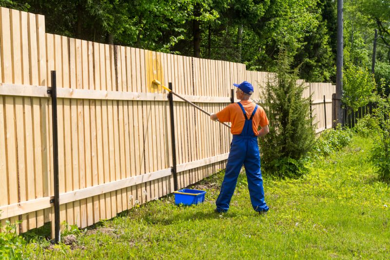 Painting Exterior Fencing